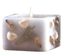 Sea Shell Candle